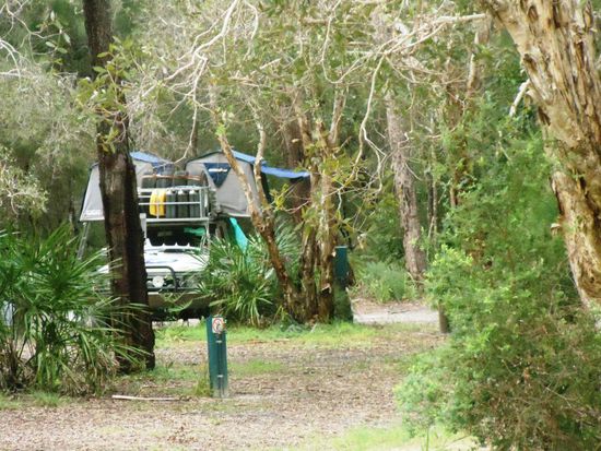 Ganz alleine im Wald...