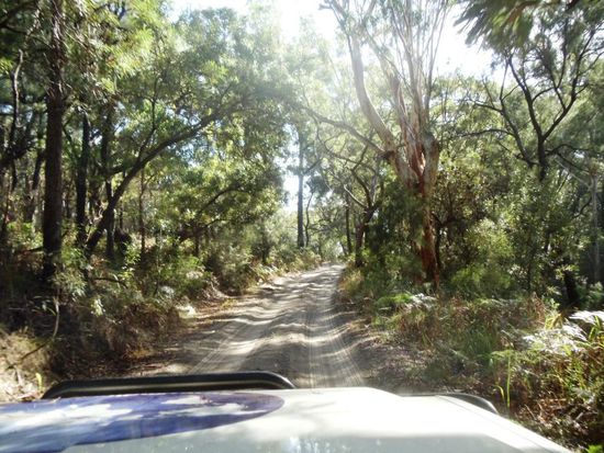 Am nächsten Morgen machten wir uns um neun Uhr auf den Weg, die Insel zu erkunden.