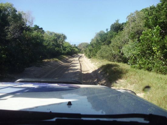 ...den 4x4 immer eingeschaltet