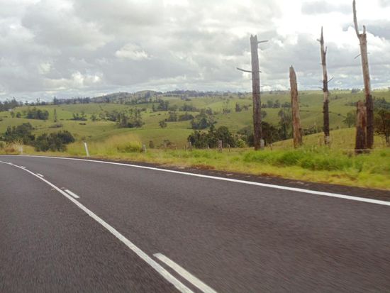 ...nach Yungaburra
