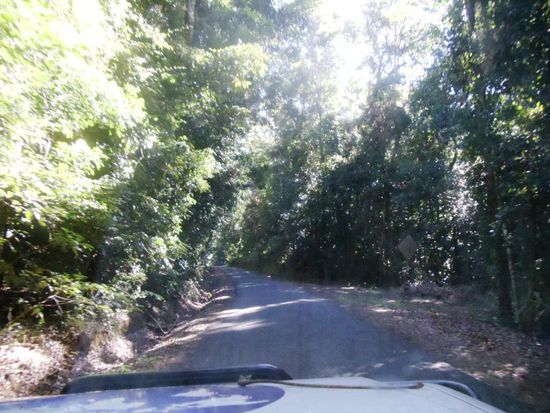 Am nächsten Morgen gings weiter..