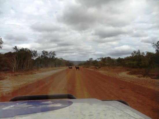 mit den unterschiedlichsten Hindernissen