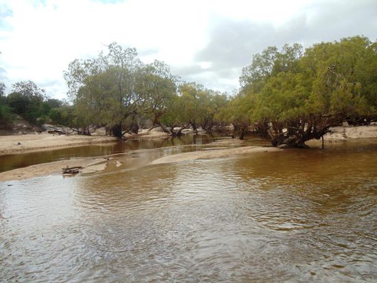 Am nächsten Tag gings weiter von Coen nach Umagico