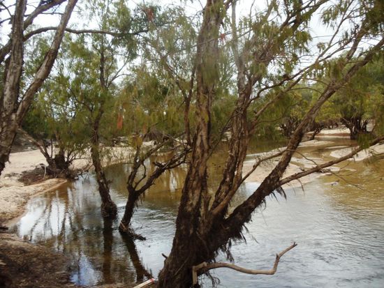 So schön die Gegenden auch sind; wir trauten uns nicht ins Wasser oder auszusteigen. Zu viele Australier haben uns vor Schlangen und Krokodilen gewarnt.