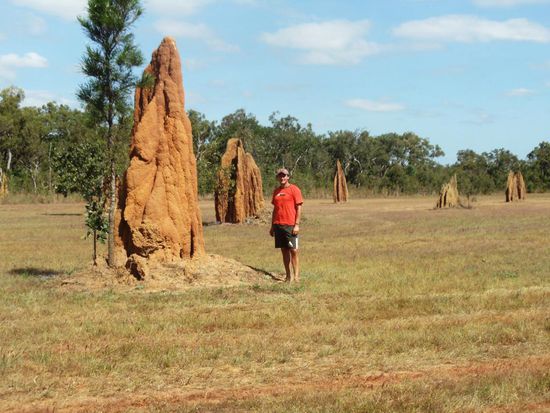 Sind richtig gross, diese Dinger