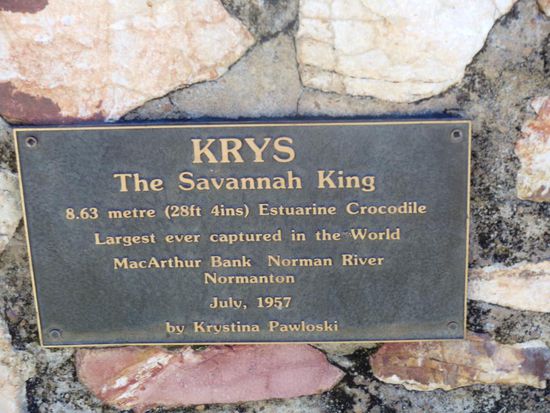 Auch im Outback gibts was zum Fotografieren für die Touristen,,, und natürlich für uns...