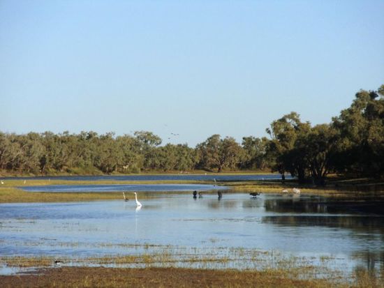Idyllischer Ort für uns vier Outbackers. Viele Wasservögel und gezwitscher..