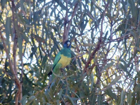 Auch er konnte uns da nicht weiterhelfen