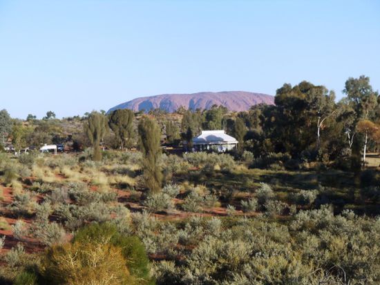 Von unserem Campingplatz aus konnten wir den Uluru das erste Mal fotografieren - mit vielen anderen Touristen zusammen