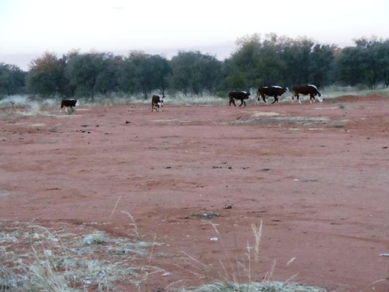 Das waren unsere Nachbarn für eine Nacht