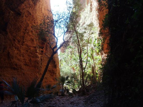 Schön wars trotzdem