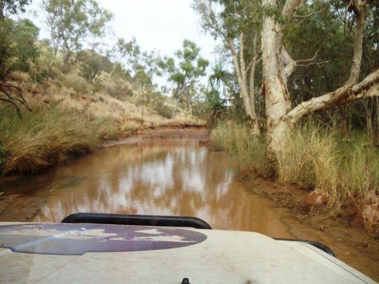Am nächsten Tag fuhren aus dem Nationalpark hinaus und sagten den Flüssen und den unebenen Strassen; Adieu!