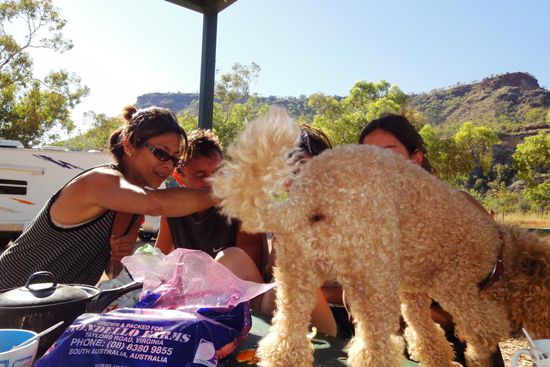 Versuchtes Gruppenfoto. Der Hund von Kob wollte auch unbedingt auf das Bild. Tja, er zeigt hier sicher nicht seine schönste Seite...