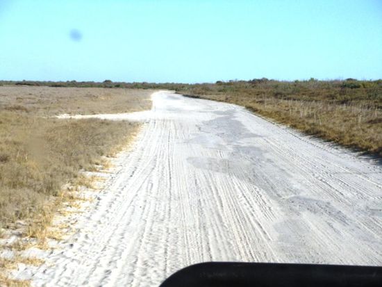 Auf der sandigen Strasse Richtung Willie Creek