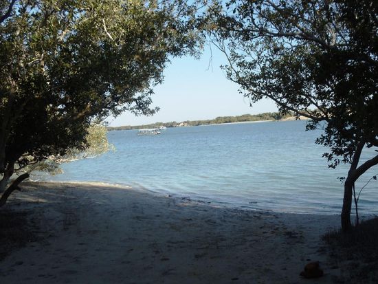 Jedoch nur im Wasser und sie kommen gemäss den anderen Campers nicht bis zu den Übernachtungsplätze. Mich würden sie ja erst am Schluss nehmen, da sie sicher nicht die Leiter zu meinem Dachzelt raufklettern können