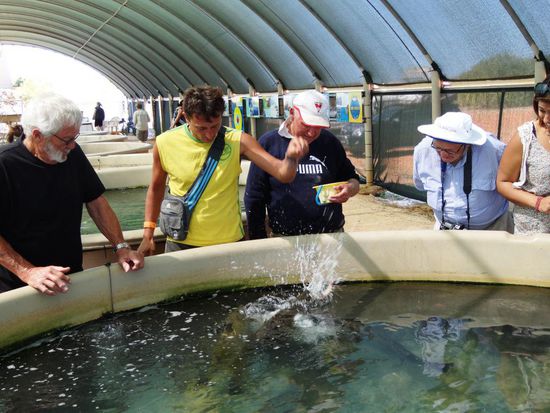 Man erschrickt grausam. Plötzlich springen sie aus dem Wasser und schwupp, haste nichts mehr in der Hand