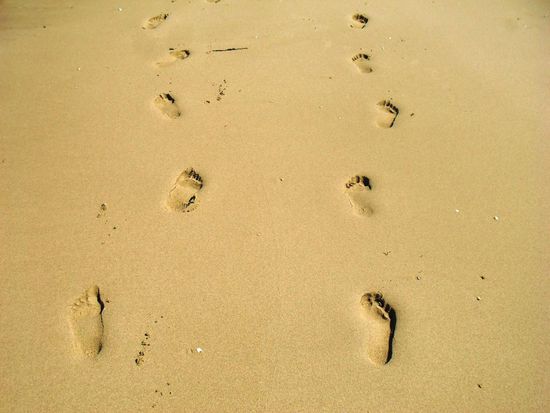 Dann noch ein einstündiger Spaziergang am unendlichen Sandstrand vom Arm Point