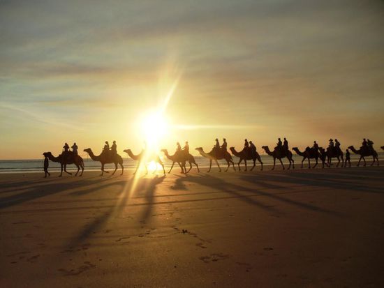 Kamelreiten entlang dem Sandstrand. Haben wir nicht gemacht - habe doch meinen Nissan Patrol