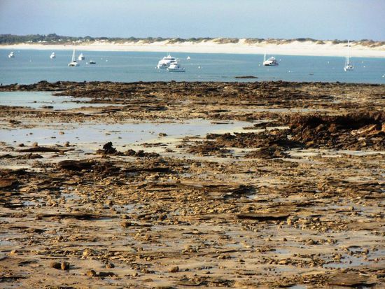 Alle sechs Stunden wechselt Ebbe und Flut. Heute waren es um 5.15am 1.88m, 11.06am 9.01m, 5.31pm 1.32m,11.25pm 8.96m