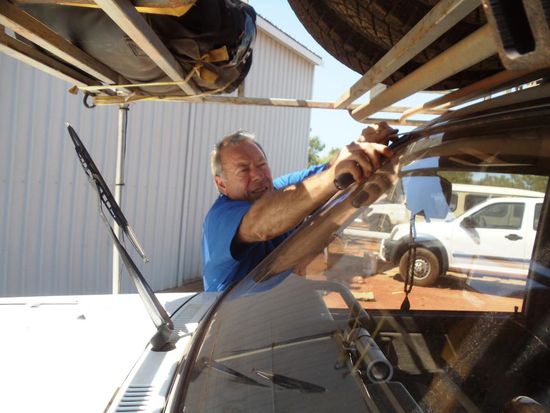 Wir fanden hunderte von Ameisen unter dem Frontscheibengummi.