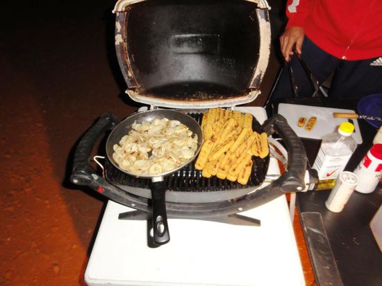 Fish &amp; Chips vom Grill. Haben wir alles weggehauen..