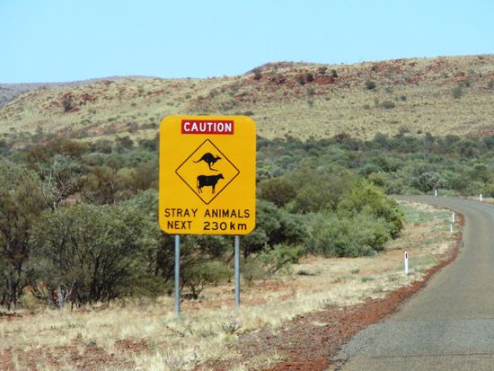 Dann gings mit 60 Km h weiter, mit dem Ziel, in Carnarvon Diesel aufzutanken
