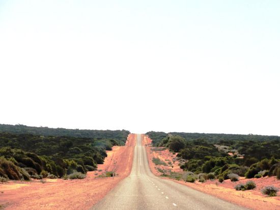 So sieht es 130 Km lang auf dem World Heritage Drive aus.