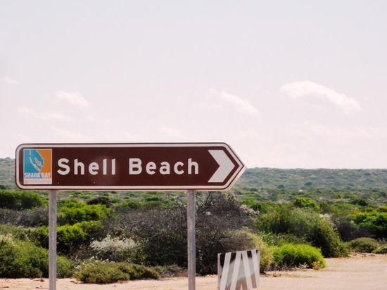 Da gingen wir dann hin