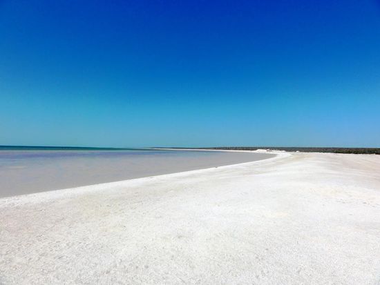 Der ganze Strand besteht aus Muscheln