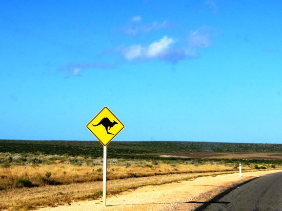 Klassiker-Aussie-Foto auf dem Weg nach Monkey Mia