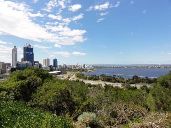 Ausflug in den Kings Park mit der grossartigen Aussicht auf die Skyline von Perth und den Swan River
