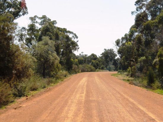 Am nächsten Tag gehts ab über teils holprige Strassen, quer durchs Land