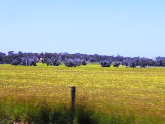 Eigentlich wie zu Hause