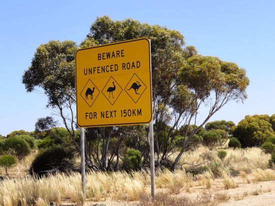 Am nächsten Tag gings weiter mit den berühmten Aussie Schildern