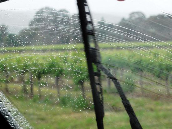 Morgens, auf dem Weg ins Barossa Valley. Wieder einmal Regen