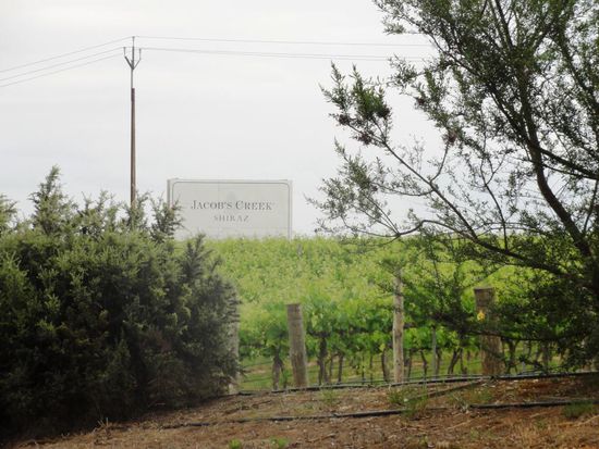 Ankunft bei einem der bekanntesten Weingüter in Barossa Valley - Jacob's Creek