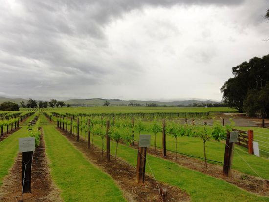 Schaureben mit Beschriftungen und Erklärungen