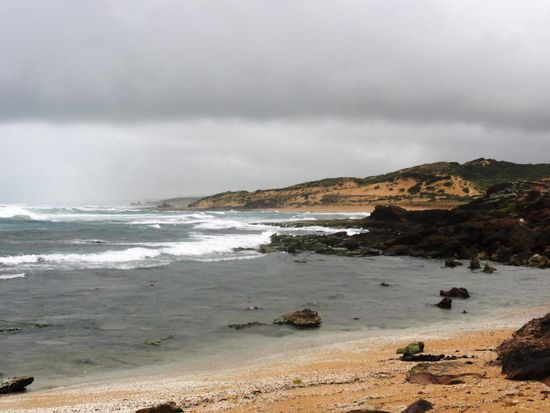 Bis wir dann endlich am Shelly Beach ankamen