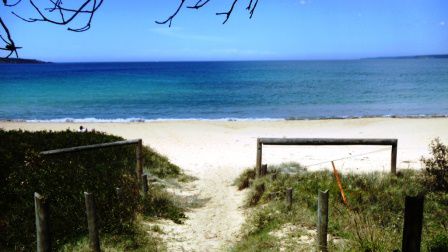 Samstag, Ankunft in Eden in New South Wales. Endlch wieder schönes, warmes Wetter mit Sand und Meer. Bi natuerlich grad schnaell inegummpt