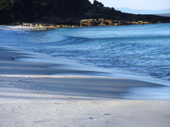 Hyams Beach im Jervis Bay Nationalpark. Er hat laut Guiness-Buch der Rekorde den .....