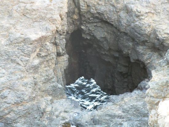 .. und dem richtigen Blowhole