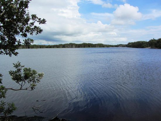 Lake Ainsworth, der gesunde See mit den..