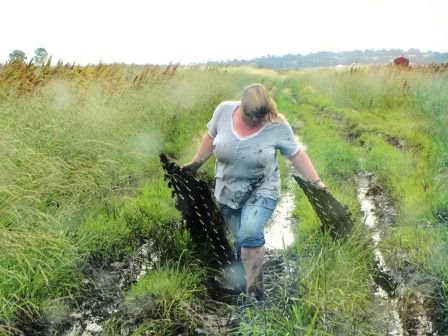 Tja, im Outback ging unser Abenteuer weiter. Im Sumpf steckengeblieben und Bea in Action