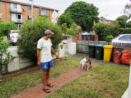 Ein paar Fotos von unserem "Gassi gehen". Hab ja sonst keine Fotos um euch zu zeigen....