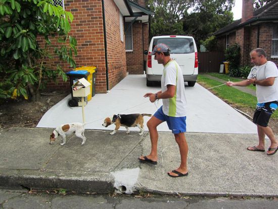 Auf jeden Fall sah das dann etwa so aus..