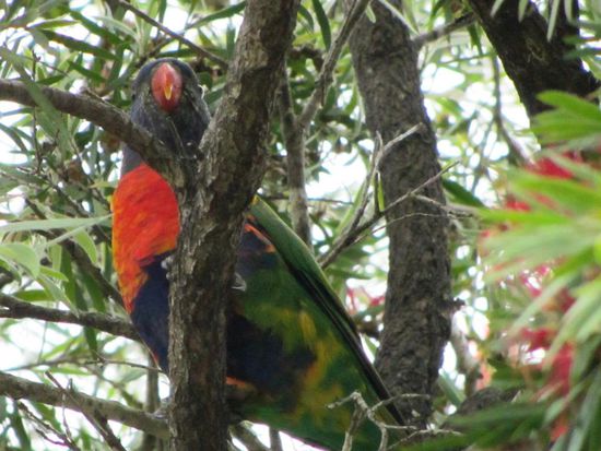 Das wars mit den Fotos. Bis im nächsten Jahr