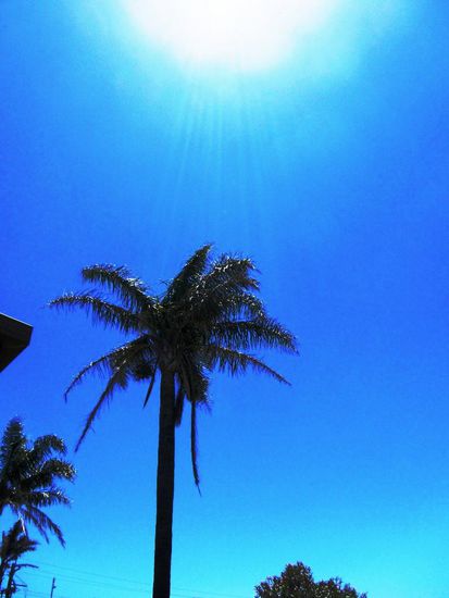 Unsere letzten Tage auf dem Campingplatz in Ulladulla