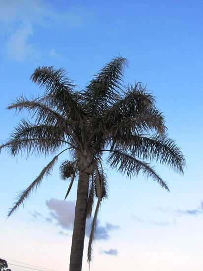 Ein paar Fotos, welche Heinz gemacht hat. Einmal keine Kakadus oder sonstige Vögel
