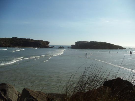 Ein paar Bilder von der Stingray Bay