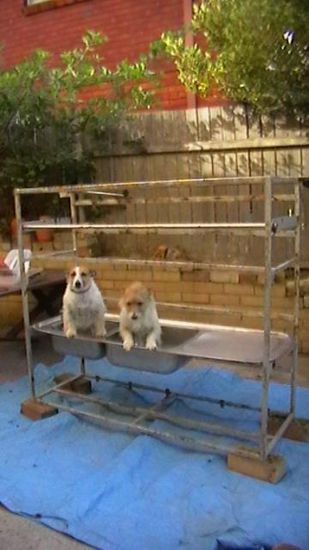 Das freut nicht nur mich sondern sicher auch den Heinz. Meredith verwendet meine Dachkonstruktion als Waschbecken auf ihrer Veranda weiter.